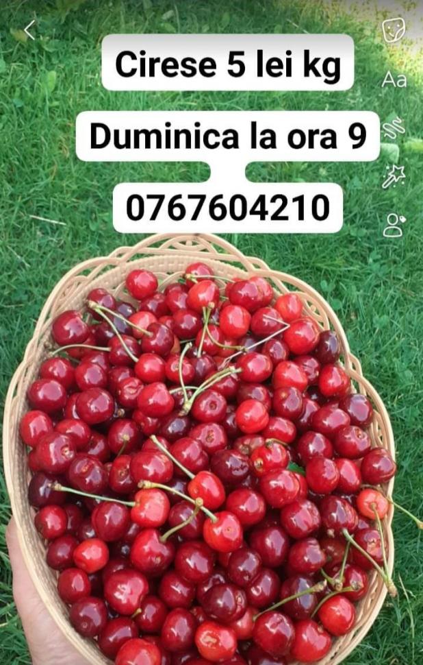 3d78d1fb9e3df6ede6b658cabf1a9662maxim