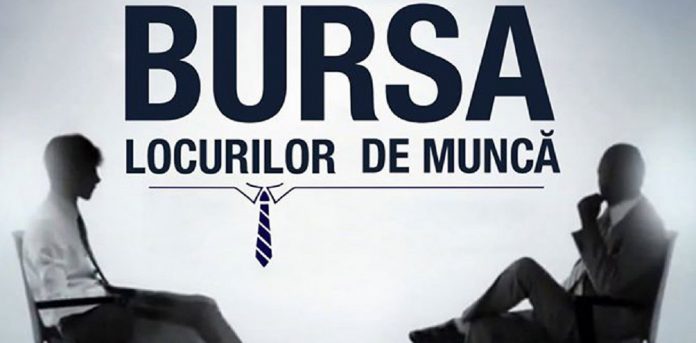 bursa