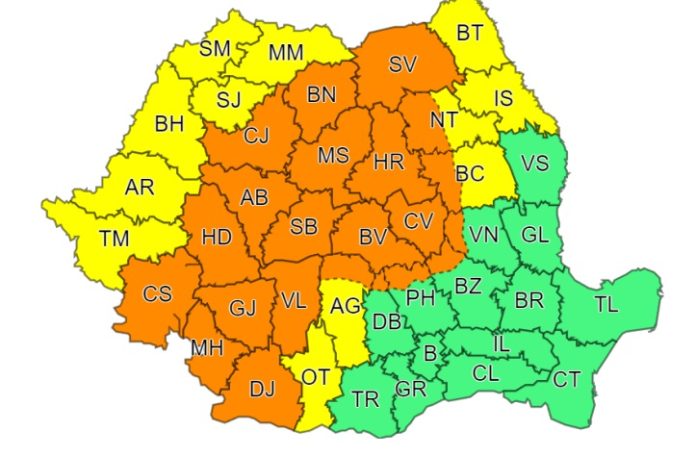vijelii